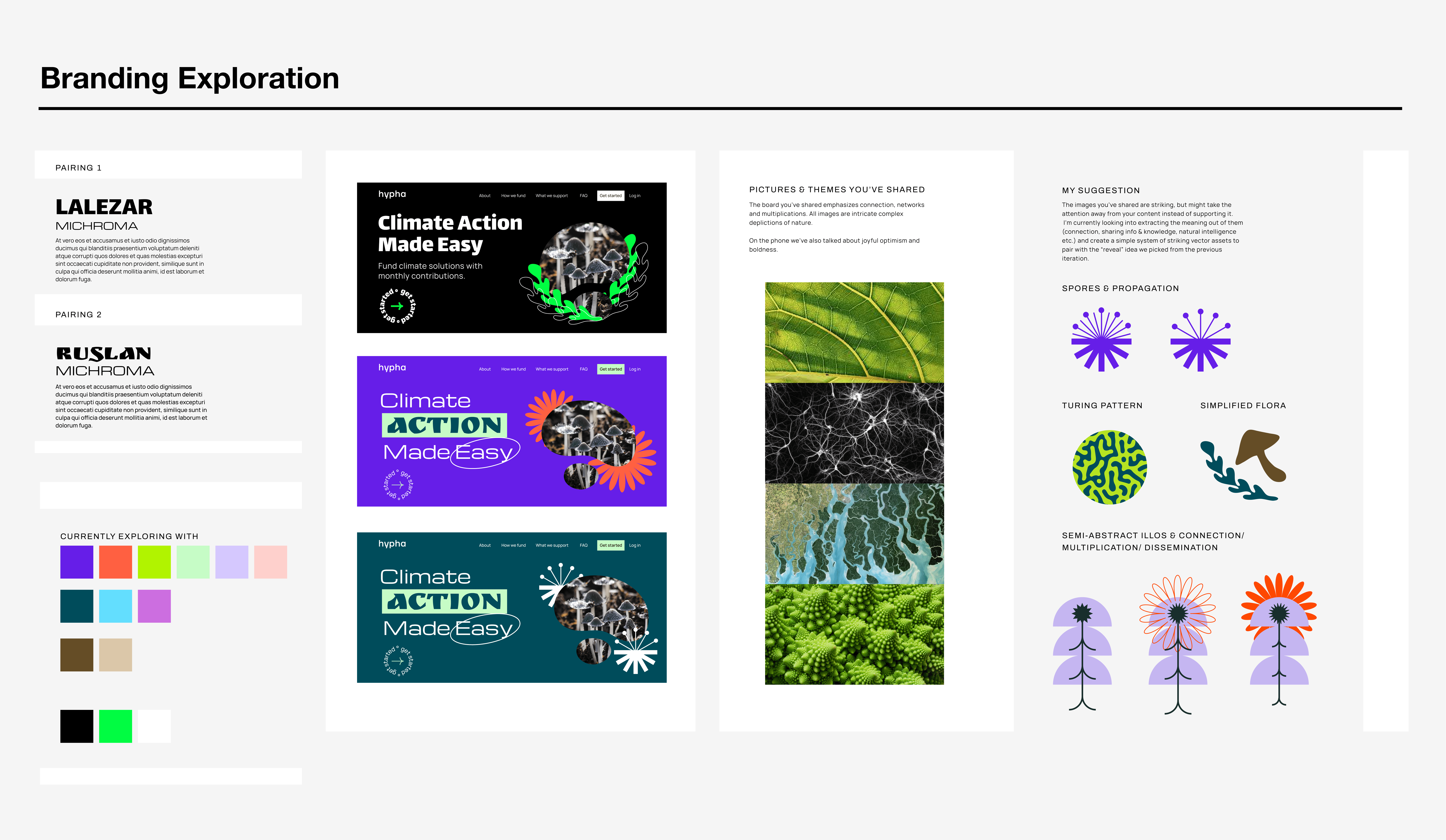 Hypha contribution flow screens